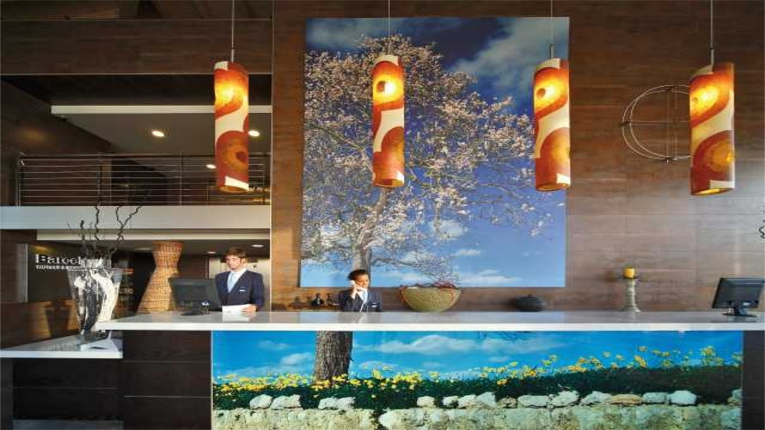 Occidental Cala Vinas Hotel